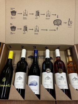 Výukový degustační set